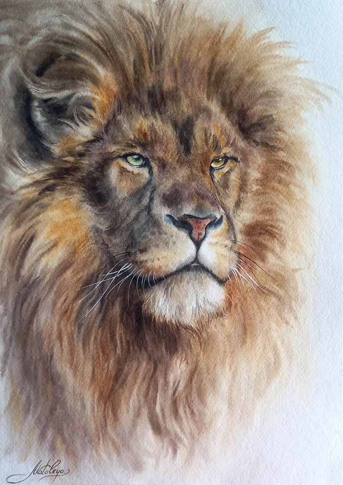 Lion Watercolor Painting by Olga Matyunina