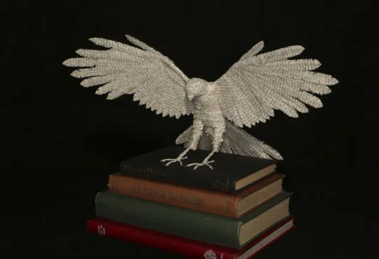 Emma Create Incredible Book Sculptures by Emma Taylor