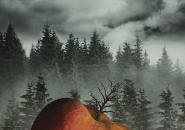 A Graveyard of Dead Promises storytelling photography by Tea Jagodic