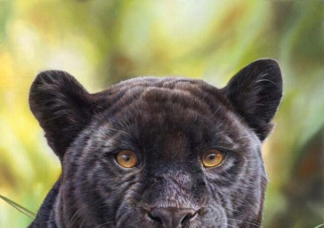 Black Panther Oil on Linen by Eric Wilson