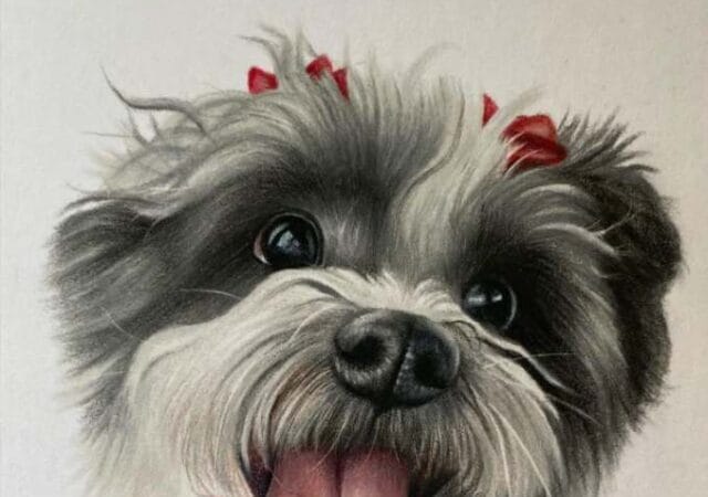 Cute dog portrait by Hannah