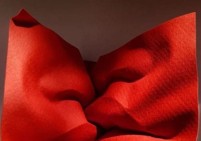 Artist Polly Verity The Paper Folded Into the Shape of a Faces Kiss