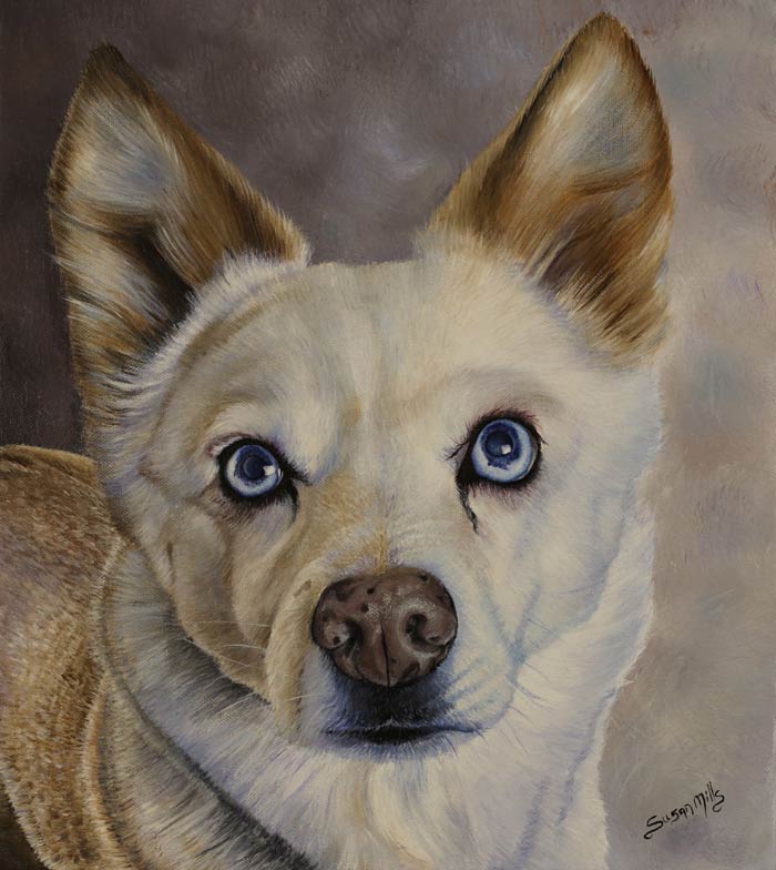 Kailash from The Human Rescuers Dog Painting