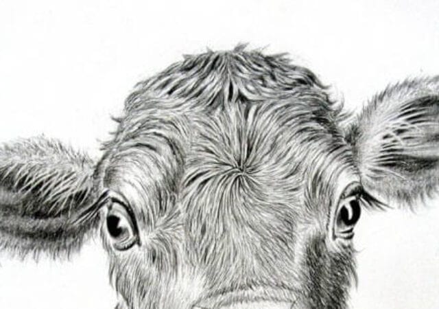 save a pet rescue, Innocence Condemned