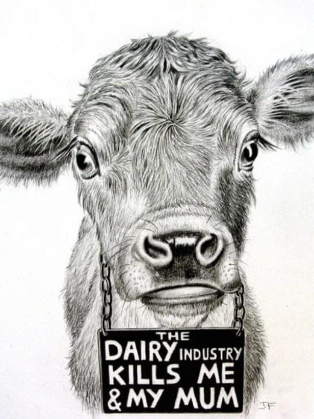 Jo Frederiks’ Artistic Journey to Save Animals