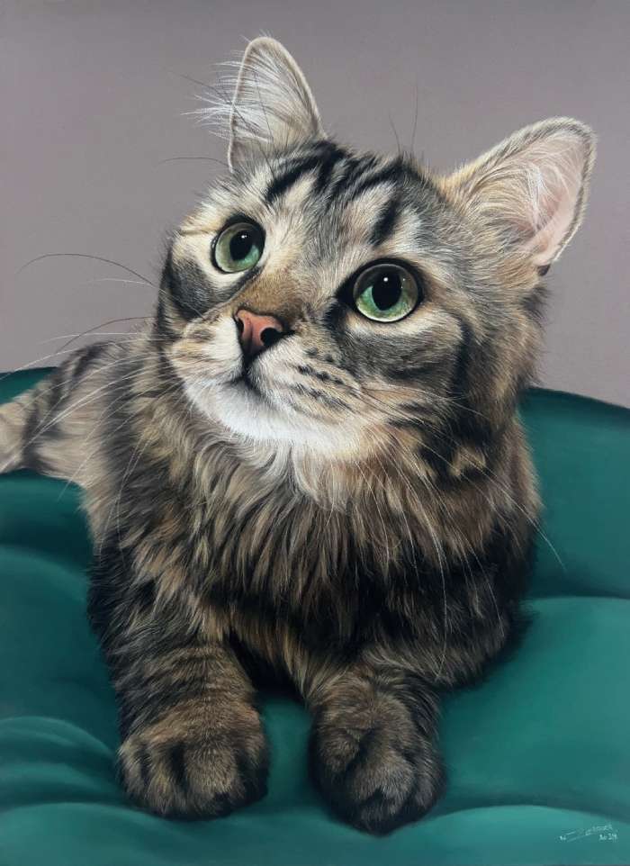 custom cat portrait painting