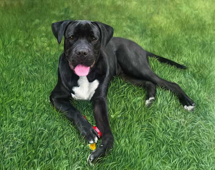 Custom pet oil painting of a dog, featuring rich textures and detailed, lifelike colors