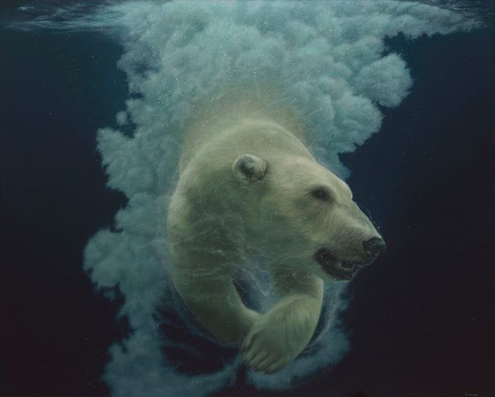 Portrait of a polar bear diving
