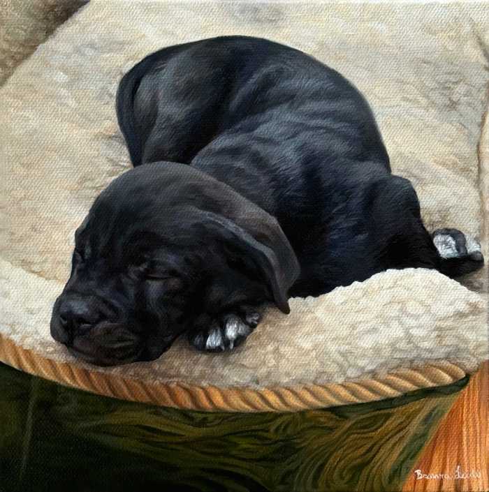 Hand-painted pet portrait of a dog, with lifelike details and vibrant colors.