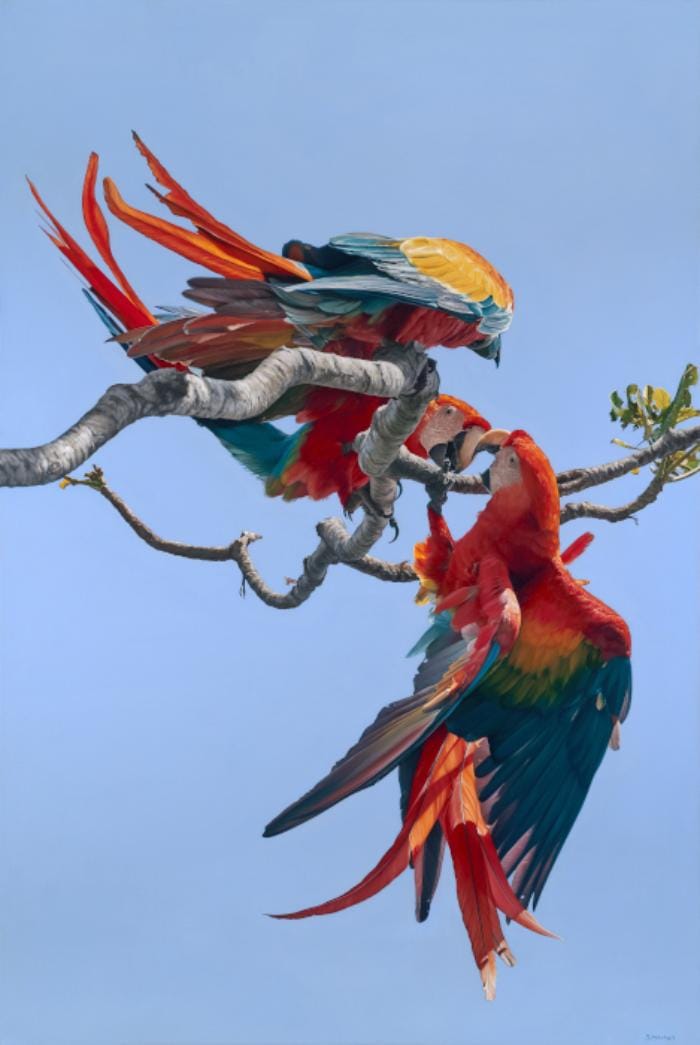 Colorful painting of parrots