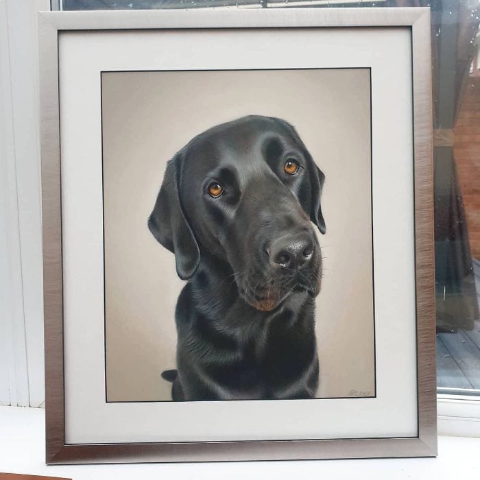 Beautiful dog portrait created by skilled portrait artist