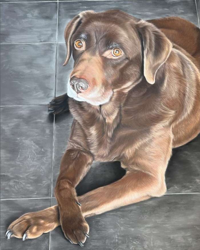 Zara's Pet Portraits and Wildlife Art