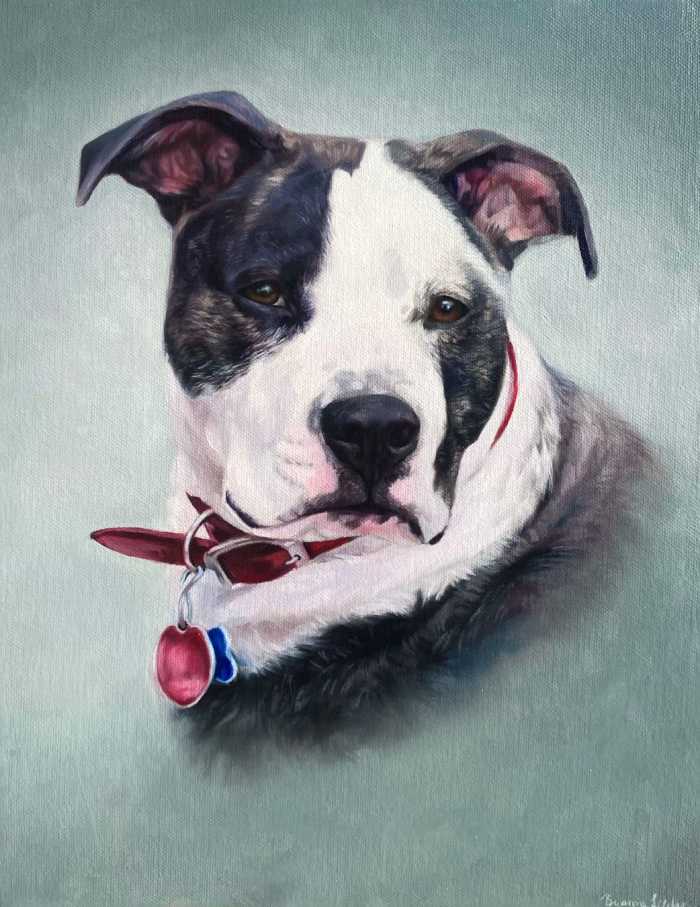 Close-up portraits of various animals, showcasing their unique features and expressions