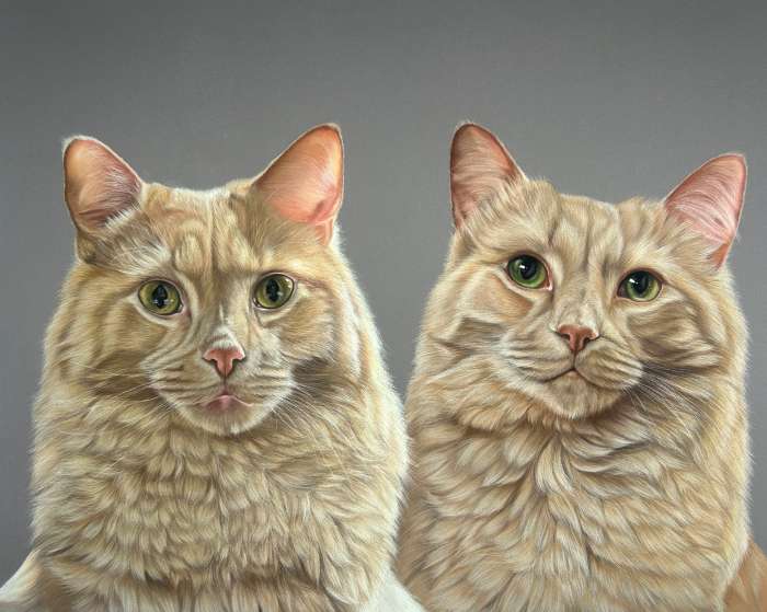 Custom Cat Portraits