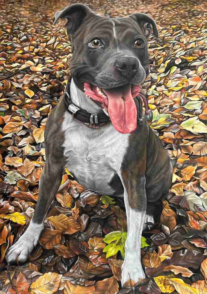 Pet Portraits Hand Painted