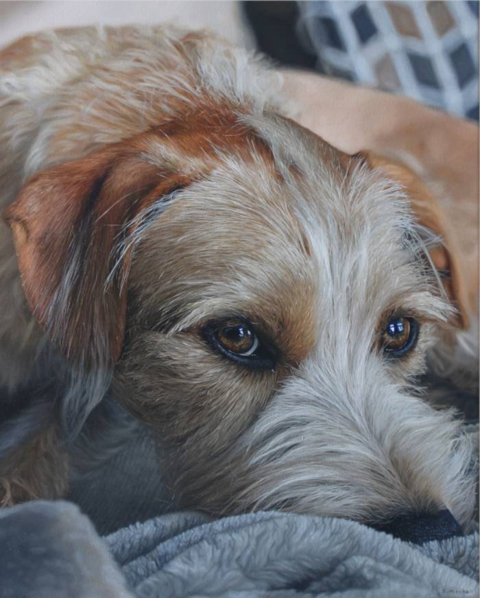 Realistic pet portrait painting