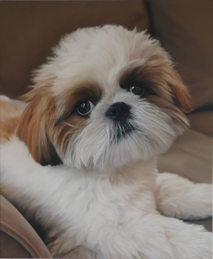 Portrait painting of a dog named Robin