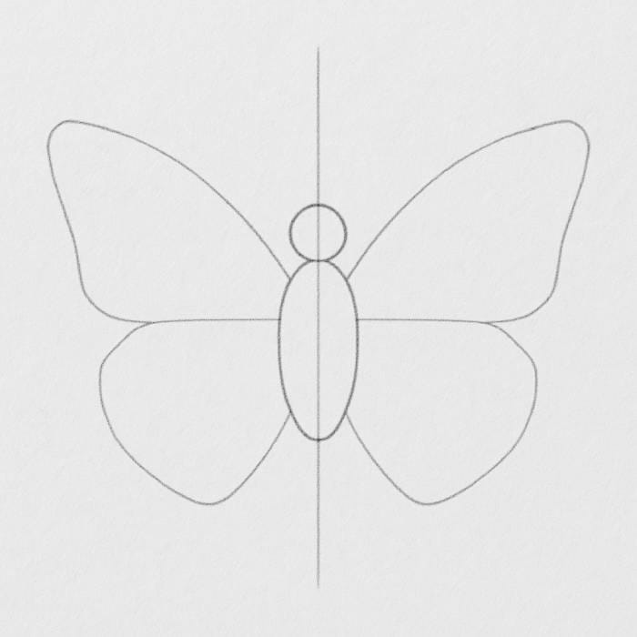 Butterfly wing shapes sketched lightly in pencil, showing symmetrical forewings and hindwings