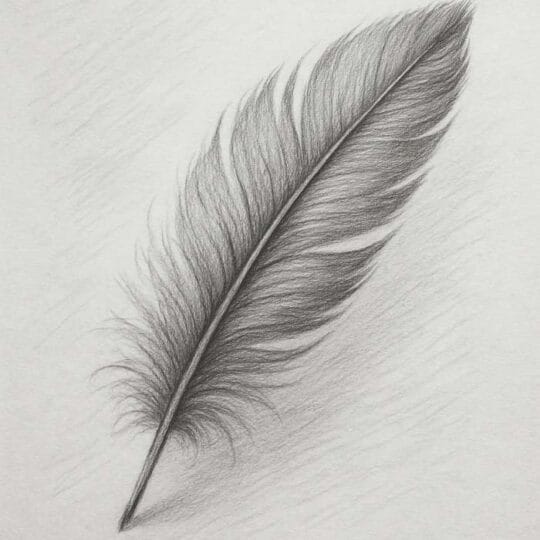 Easy Black & Colored Pencil Drawing Ideas for Everyone - Trendy Art Ideas