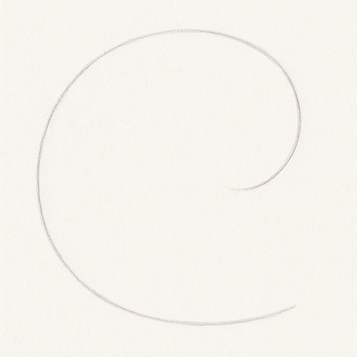 Simple pencil sketch of a large curved "C" shape forming the base outline for a snail's body.