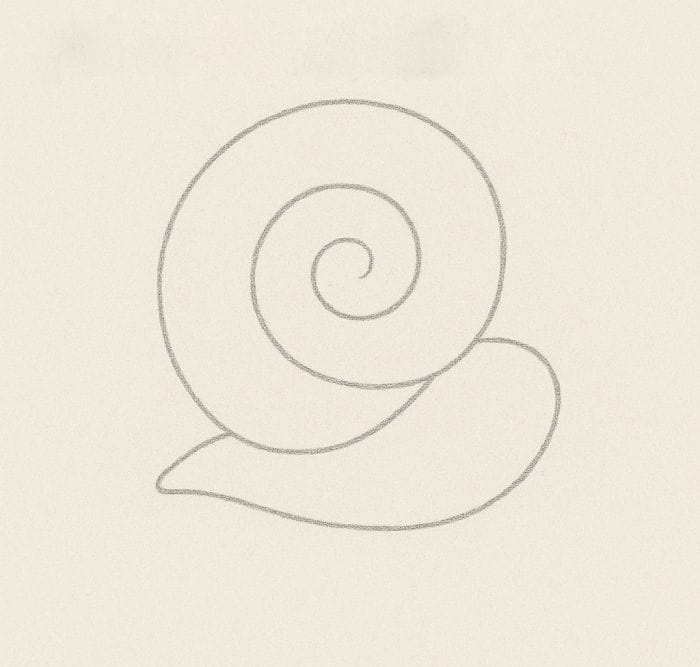 Pencil drawing of a snail with a spiral shell and a simple curved body outline.