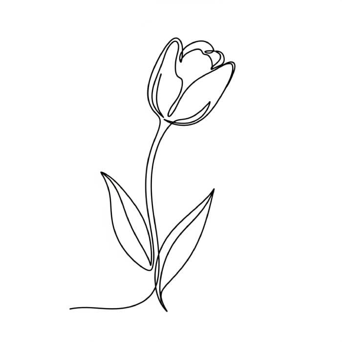 Simple line art drawing of a tulip flower with two leaves on the stem
