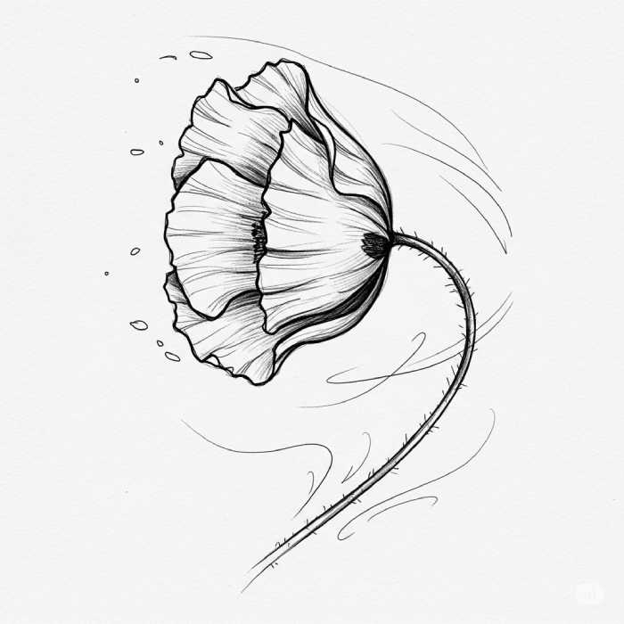Black and white sketch of a poppy flower bending in the wind with delicate petals and flowing lines