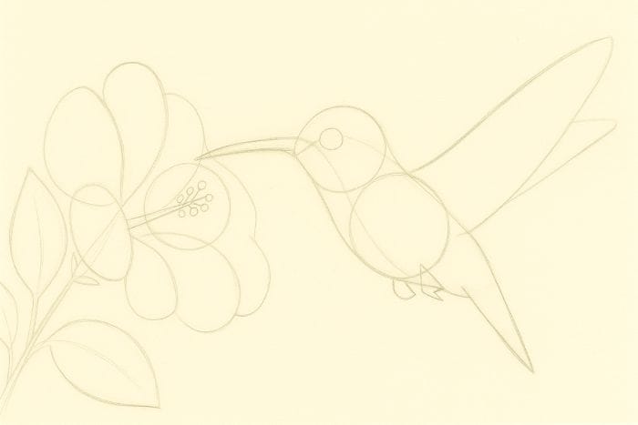 Simple pencil sketch of a hummingbird and flower using basic shapes for drawing guide.