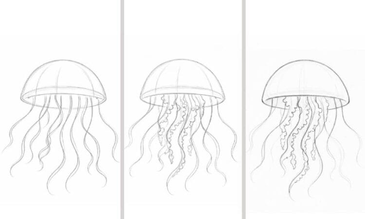 How to Draw a Jellyfish Using Simple Shapes