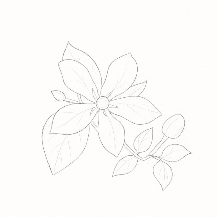 Pencil drawing of a flower with five petals, large and small leaves, and two flower buds on stems, step 3 of a flower drawing tutorial.