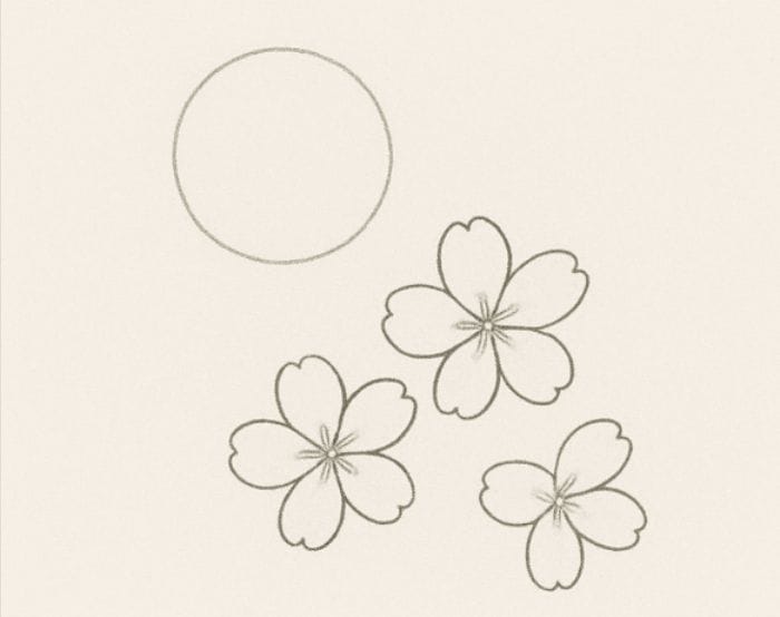 Cherry blossom drawing with simple petals and clustered blossoms in a clean style