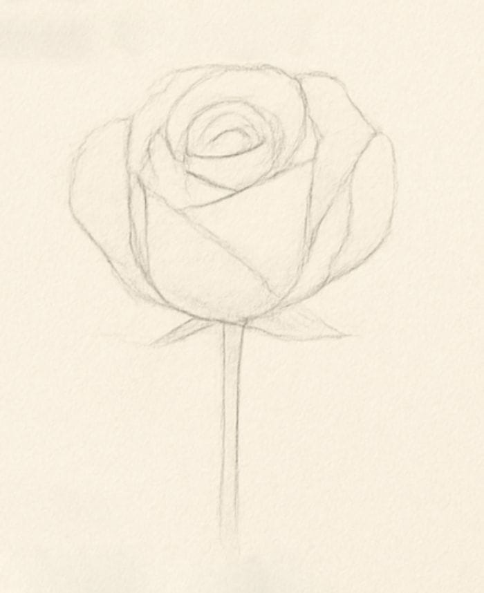 Step 1 simple rose sketch outline showing the basic pencil drawing of a rose with petals and stem.