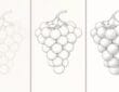 Step-by-step guide on how to draw a bunch of grapes for beginners