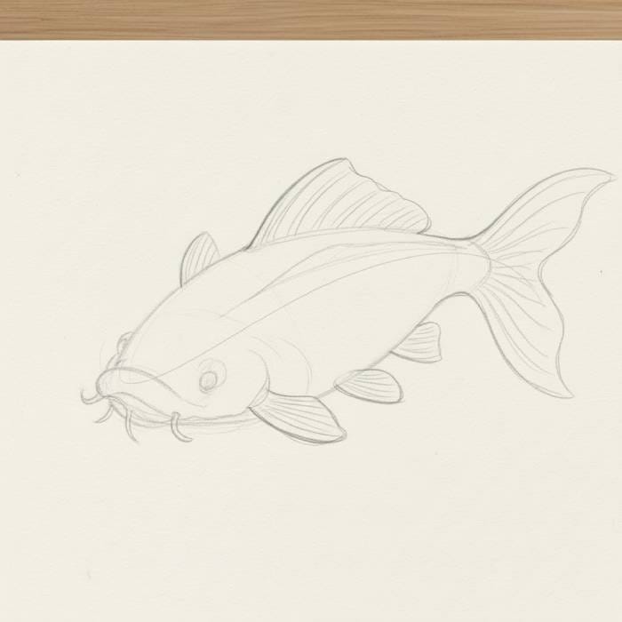 Pencil sketch of a koi fish with detailed fins and tail added to the outline