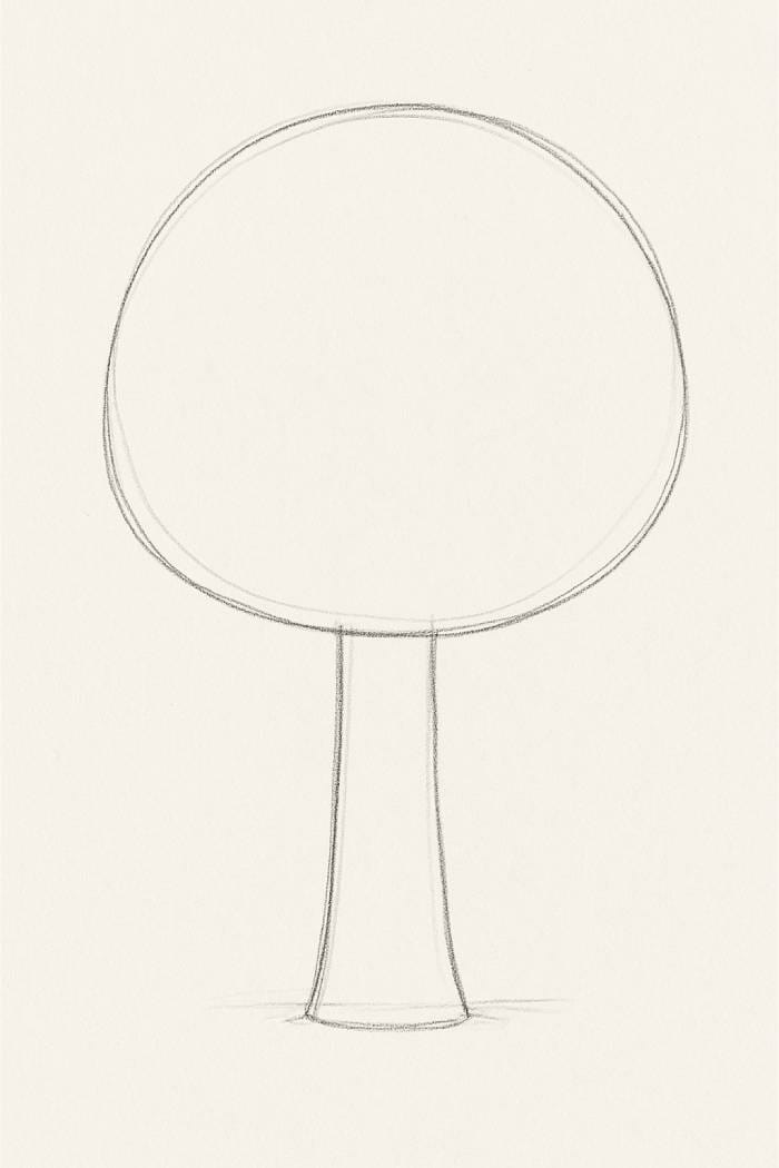 Step by step pencil tree sketch starting with basic shapes for beginners