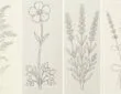simple wildflower drawing ideas with easy pencil sketches of various wildflowers for beginners