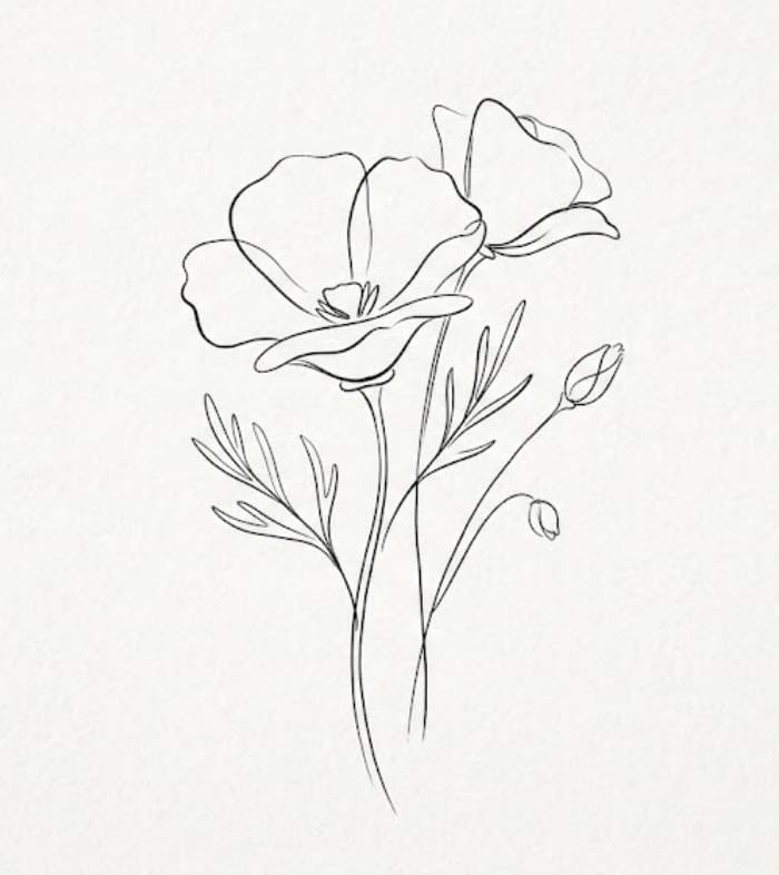 Easy California Poppy Drawing in Simple Line Art Style