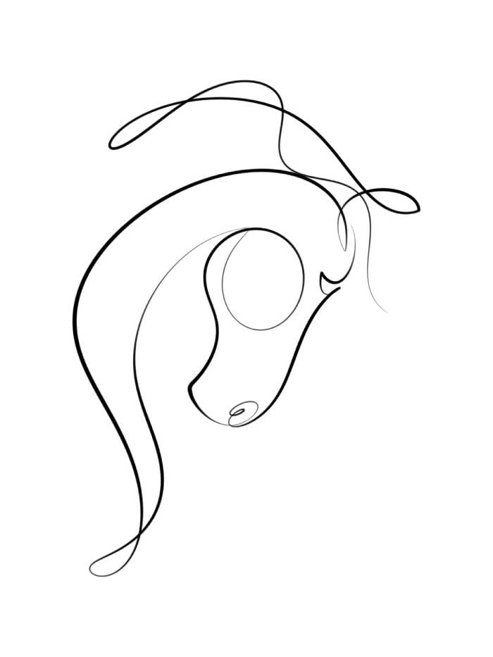 Rajni Chunara one line horse art created with a continuous minimalist line drawing technique