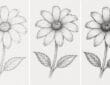 Realistic Black Eyed Susan Flower Drawing Tutorial