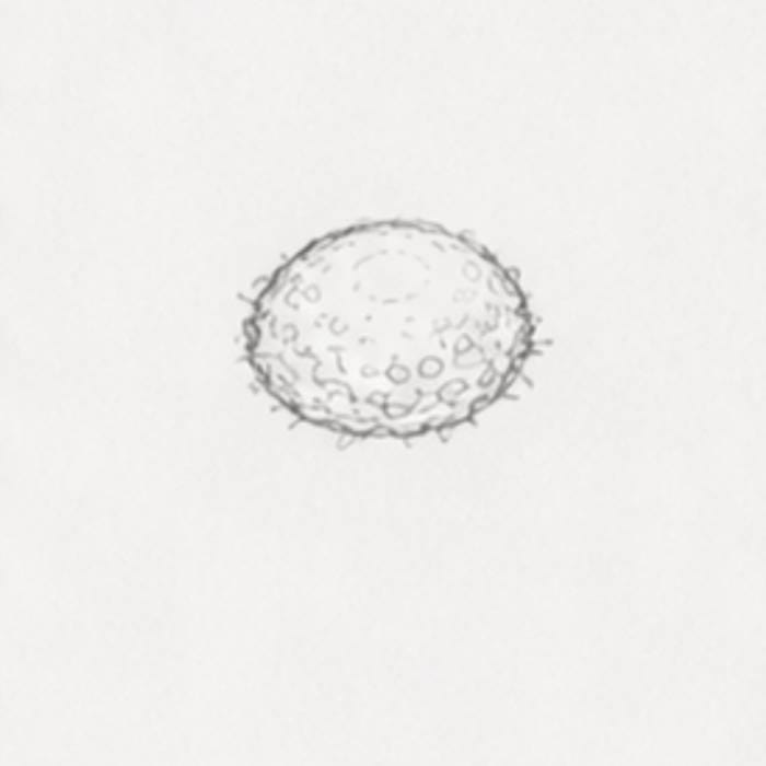 Simple Black Eyed Susan flower center drawing tutorial