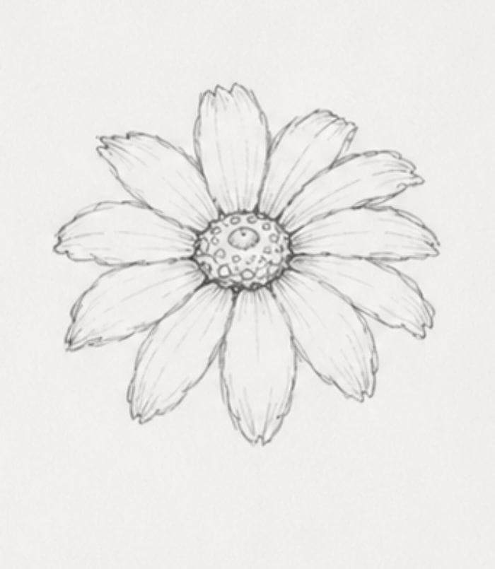 Hand drawn Black Eyed Susan petal shaping guide