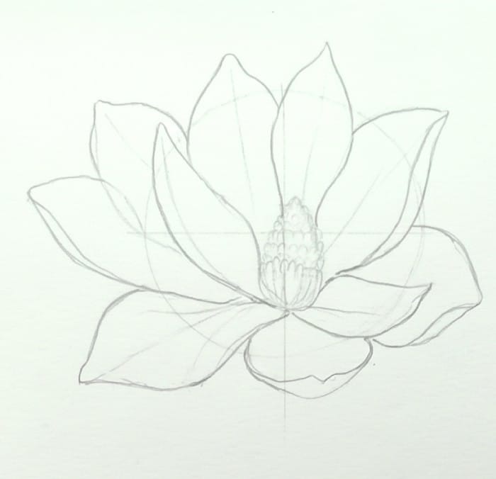 Magnolia flower drawing with detailed petals added around the center, showing the second step of a beginner-friendly sketch tutorial.