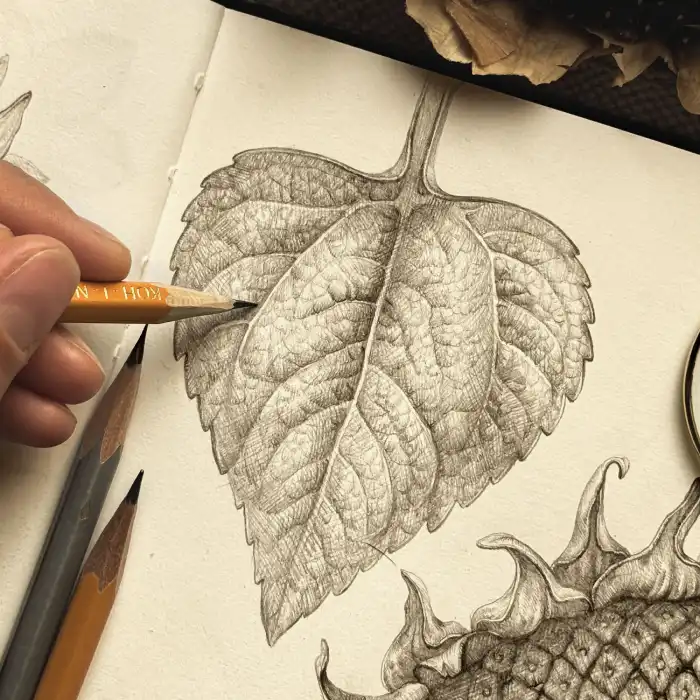 Vlada Repina artist's hand using a graphite pencil to shade the intricate vein texture of a botanical sunflower leaf sketch in a sketchbook