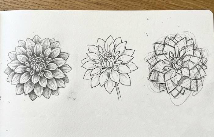 Small dahlia flower sketch with delicate layered petals and fine details